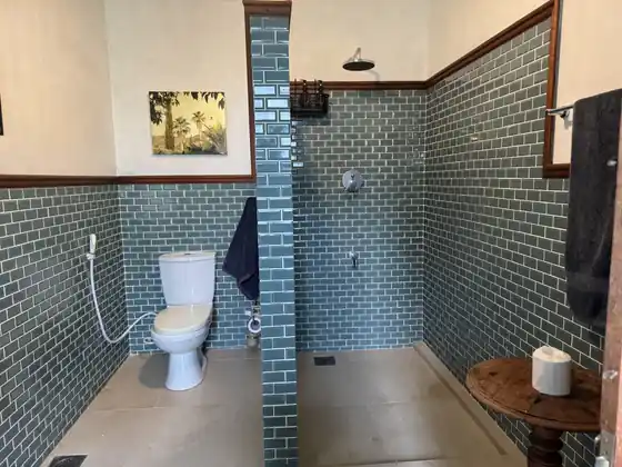 A Bungalow bathroom lined with small green tiles, with a walk-in rain shower and a toilet