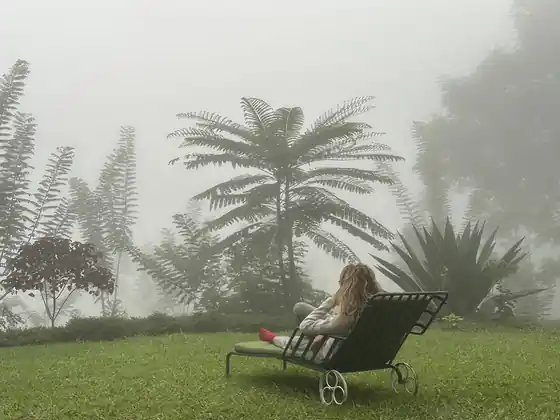 A guest lounging on a daybed on the lawn as mountain mist rolls in