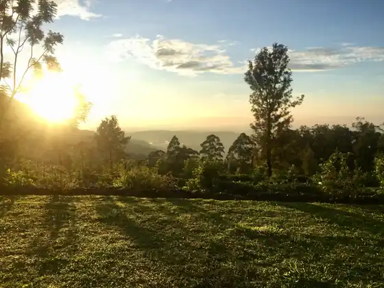 The sun rising over the lawn and trees at the bungalow