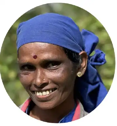 Portrait of Maheshwary, one of the estate tea team