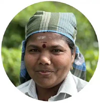 Portrait of Mariamma, one of the estate tea team