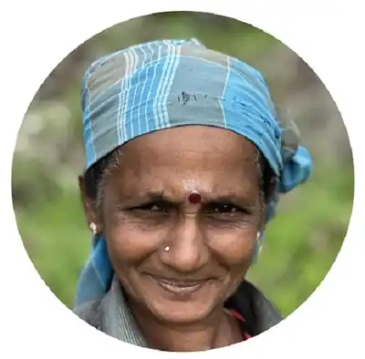 Portrait of Parawathy, one of the estate tea team