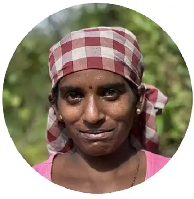 Portrait of Sivaranganee, one of the estate tea team
