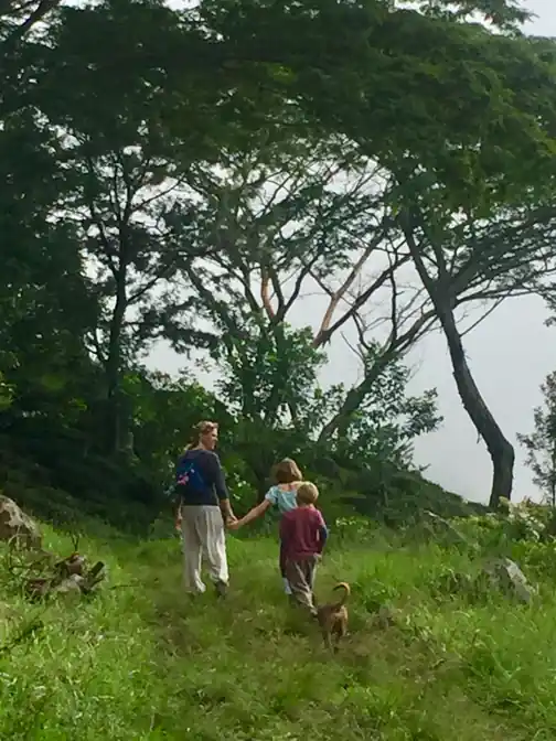Walkers and a dog on a grassy path beneath tall trees on the estate