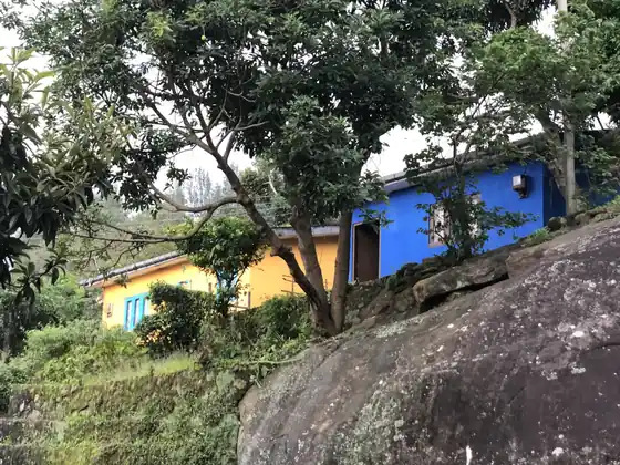 Brightly painted village houses among the trees